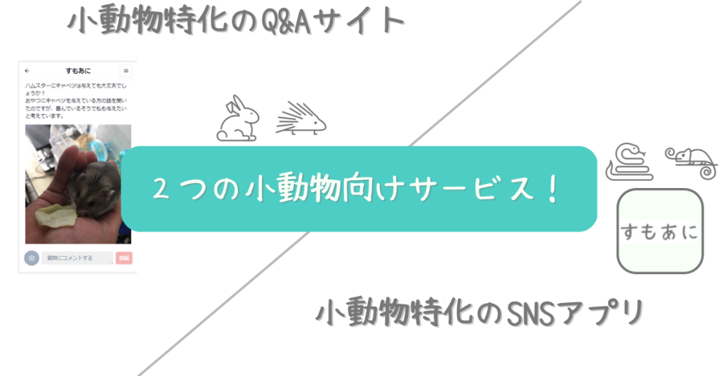 小動物特化のSNSアプリとQ&Aサイトのすもあにシリーズを提供中